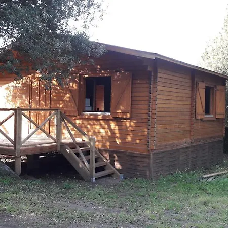 Chalets Bois 150M De La Plage Olmeto  Exterior foto