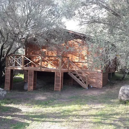 Chalets Bois 150M De La Plage Olmeto  Exterior foto