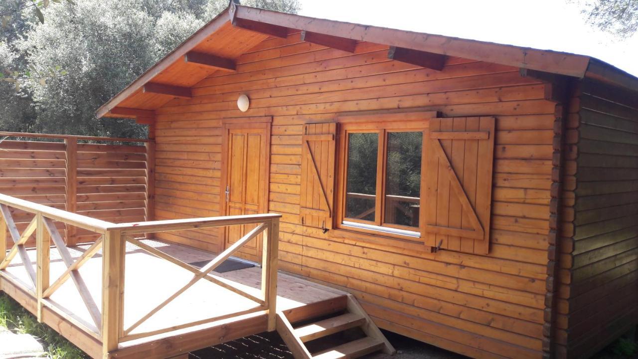 Bois 150m De La Olmeto (Corsica)