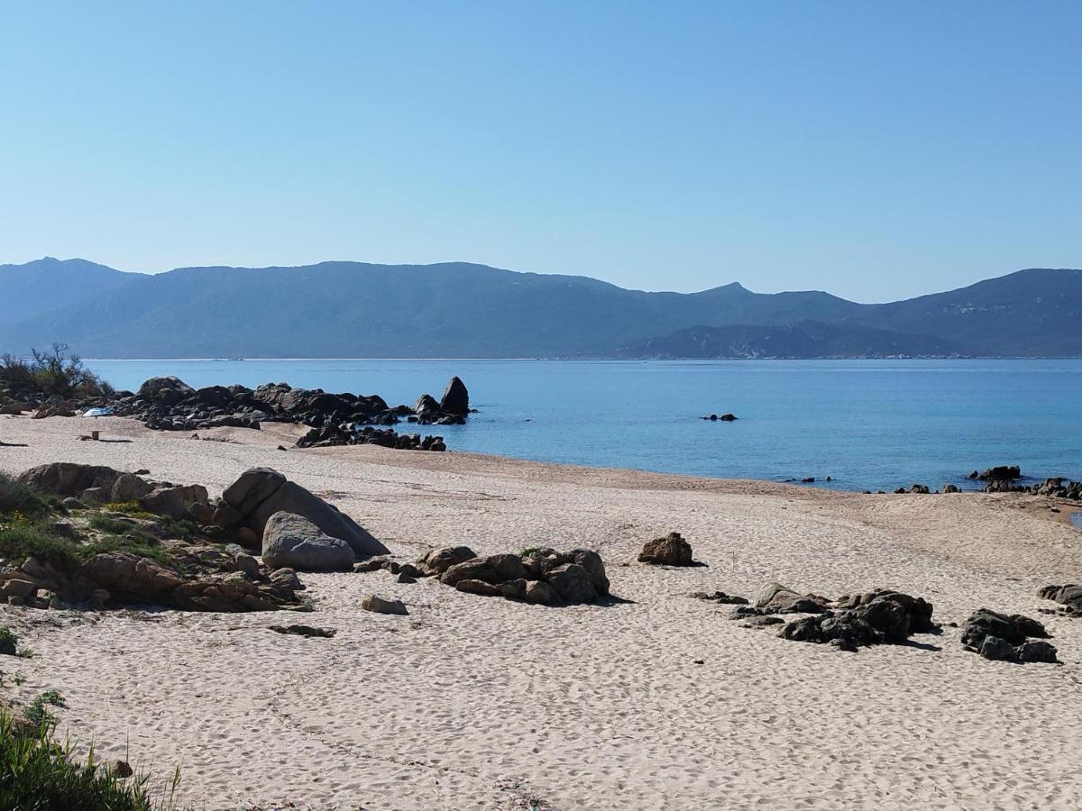 Bois 150m De La Appartement Olmeto (Corsica)