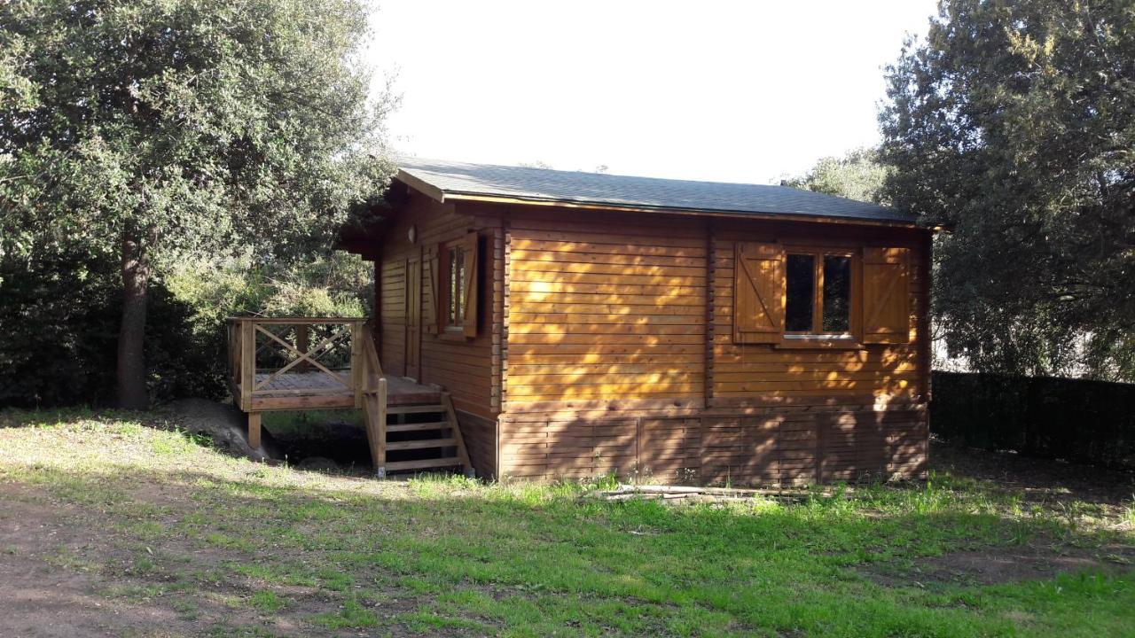 Appartement Bois 150m De La *