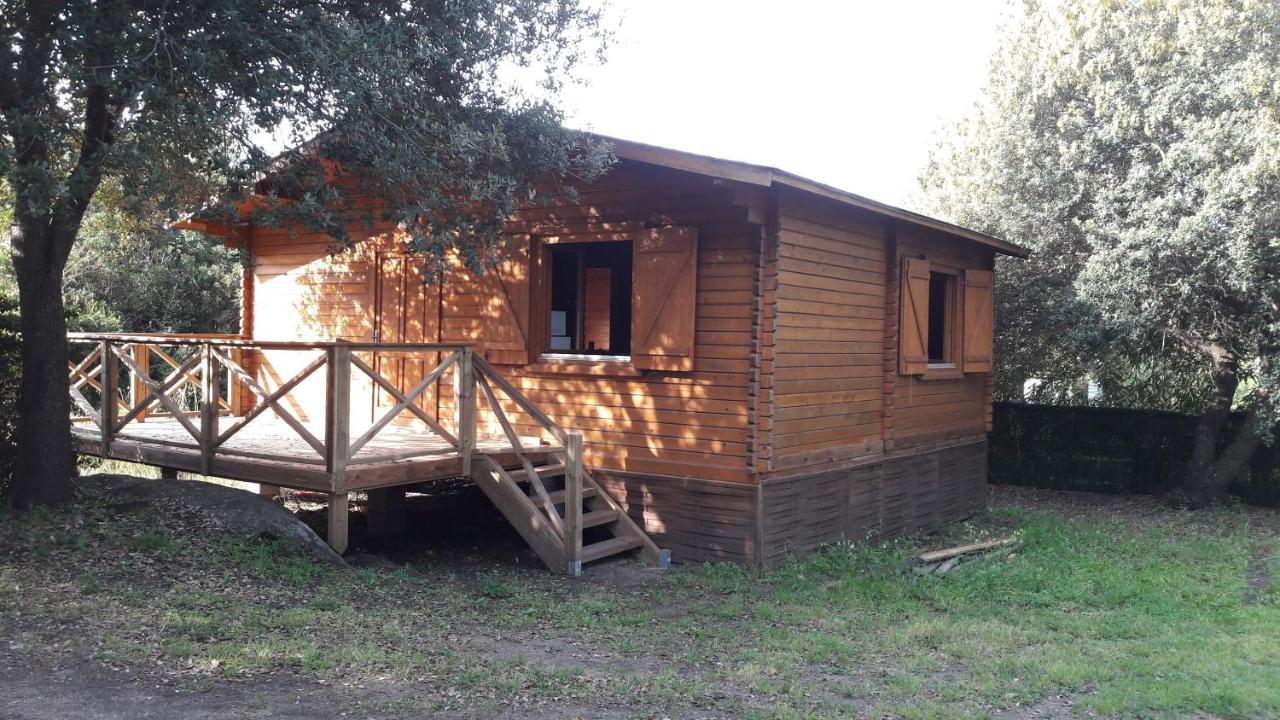 Bois 150m De La