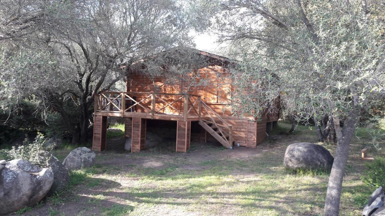 Bois 150m De La Olmeto (Corsica)