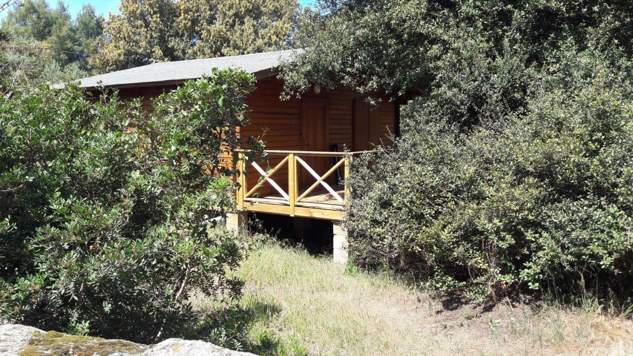Bois 150m De La Appartement